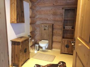 a bathroom with a toilet and a wooden wall at Holzberghof in Umhausen