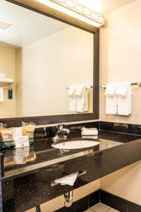 a bathroom with a sink and a large mirror at Fairfield Inn & Suites by Marriott San Antonio Downtown/Alamo Plaza in San Antonio