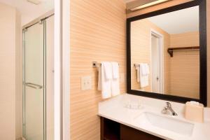 ein Bad mit einem Waschbecken und einem Spiegel in der Unterkunft Fairfield Inn & Suites by Marriott Albany East Greenbush in East Greenbush