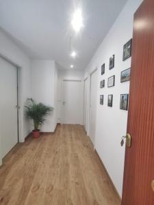 an empty hallway with a potted plant and a door at Gallaecia in Arzúa