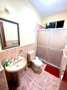 a bathroom with a sink and a toilet and a shower at Departamento de Patricia in Sucre
