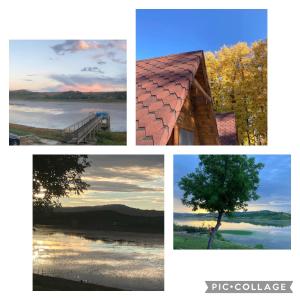a collage of four pictures with a tree and water at Вили Янкови in Dobri Dyal