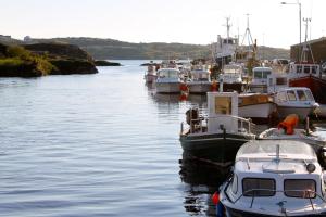 Φυσικό τοπίο κοντά σε αυτός ο ξενώνας