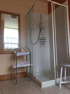 eine Dusche mit einer Leiter und einem Stuhl in einem Zimmer in der Unterkunft The Clady in Bunbeg