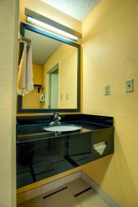 a bathroom with a sink and a large mirror at Fairfield Inn by Marriott Las Cruces in Las Cruces