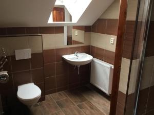 a bathroom with a sink and a toilet and a mirror at Hrusická restaurace a penzion in Hrusice