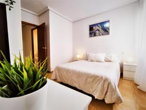 a white bedroom with a bed and a potted plant at Bonita casa al lado de la playa en Santa Pola in Santa Pola