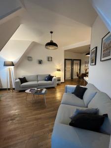 Sala de estar con 2 sofás y mesa en Entre Loire et Chateau en Blois