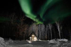 a cabin with the aurora dancing in the sky at Modern A Frame in the woods. Pet friendly in Brook Park