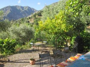 Afbeelding uit fotogalerij van Auberge Casa Linda in Chefchaouene