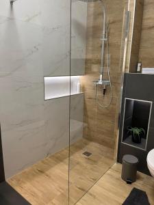een badkamer met een douche en een glazen deur bij Room in the city 2 in Sopron