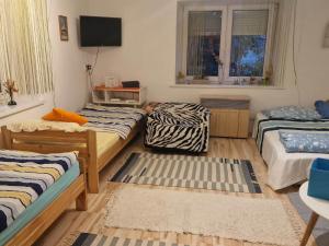 Habitación con 2 camas y TV. en Kerékpáros és Zarándok Vendégház, en Apostag