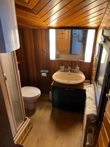 ein Badezimmer mit einem Waschbecken, einem WC und einem Spiegel in der Unterkunft Entire cozy chalet in St-Cergue - 30 min from Geneva in Saint-Cergue