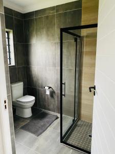 a bathroom with a toilet and a glass shower at Studio On Nate in Mount Pleasant