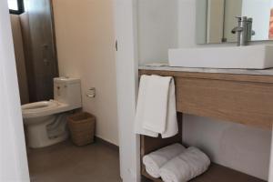 グアダラハラにあるExpo Satelite Hotel & Suitesのバスルーム(白い洗面台、トイレ付)