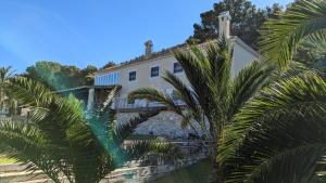 a white building with palm trees in front of it at El Collado in Cullera