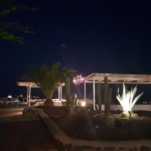 a building at night with cacti in front of it at Thea Luxury Resort in Fira