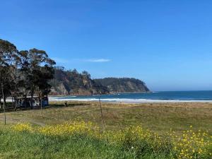 una playa con un campo de hierba y el océano en La Magdalena acogedor apartamento en Villaviciosa, en Villaviciosa