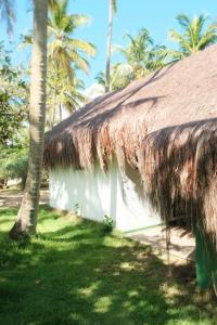 Градина пред Casa Del Mar