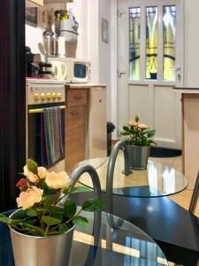 eine Küche mit einem Glastisch mit zwei Topfpflanzen in der Unterkunft La Stella di Budapest in Budapest