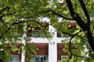 biurowiec z drzewami przed nim w obiekcie Hotel Stiegl Scala w mieście Bolzano