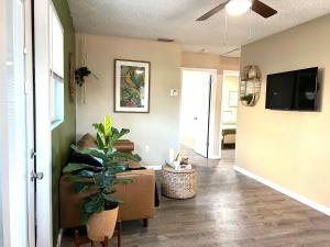 a living room with a plant and a tv at Tropical Casita in Tampa near airport and Raymond James stadium in Tampa