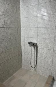 y baño con ducha con cabezal de ducha. en Nicolas en Néa Michanióna
