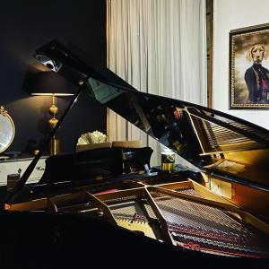 un primer plano de un piano de cola en una habitación en Suite Vieille Rose, en Niort