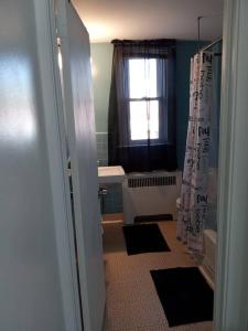 a bathroom with a shower and a sink and a window at Eddystone - Entire Property 