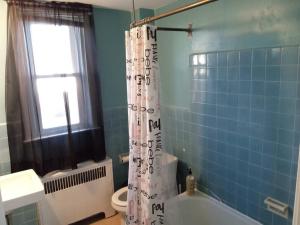 a bathroom with a toilet and a shower curtain at Eddystone - Entire Property 
