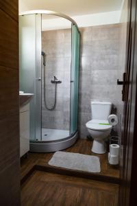 Dorna Cîndrenilor的住宿－Casa Sofia Dorna Candrenilor，带淋浴和卫生间的浴室