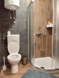 a bathroom with a toilet and a shower at Apartman Katarina Bački Monoštor in Bački Monoštor
