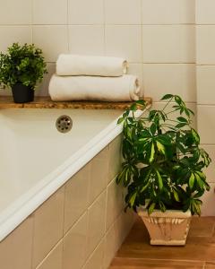 a bathroom with towels and plants on a shelf at Central Garden Saldanha Apartment in Lisbon