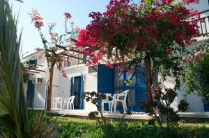 a house with blue shutters and chairs and flowers at Hylatio Tourist Village in Pissouri