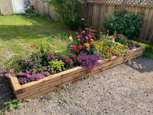 una caja de madera llena de flores en un patio en Cozy Furnished Apartment, en Fort Simpson