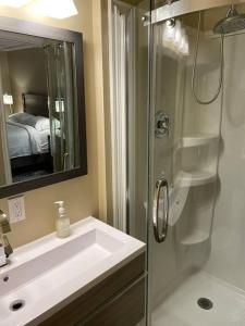 y baño con lavabo, ducha y espejo. en Cozy Furnished Apartment en Fort Simpson