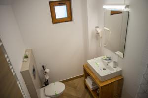 a bathroom with a sink and a toilet at Boga Rooms in Sinaia