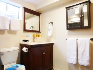 Private Basement, Bath, Living Area In Morrison في موريسون: حمام مع مرحاض ومغسلة ومرآة