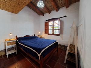 a bedroom with a bed and a window and a ladder at Casa en Tilcara con hermosa galería in Tilcara