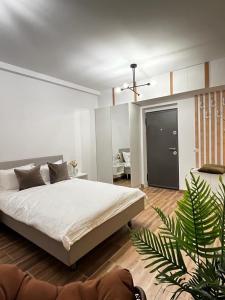 a white bedroom with a bed and a potted plant at One Room Iasi in Iaşi