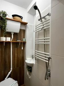 a bathroom with a toilet and a sink at One Room Iasi in Iaşi