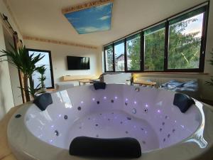 Televízia a/alebo spoločenská miestnosť v ubytovaní Apartament z jacuzzi Zakopane