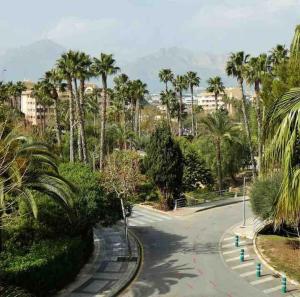 Сад в Lovely 2 bedroom apartment 2nd line to beach
