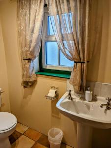 a bathroom with a toilet and a sink and a window at Millers Close Holiday Cottages in Newcastle