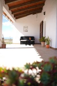 a porch with a bench and potted plants at La Casilla in Deltebre