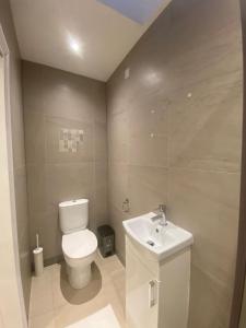 łazienka z toaletą i umywalką w obiekcie Dannifar Guest House w Londynie