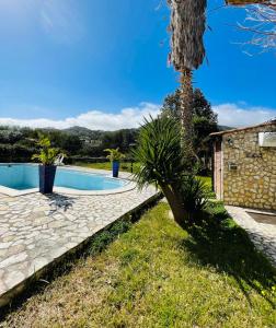 a backyard with a swimming pool and a palm tree at Villa Inserra Deluxe in Palermo