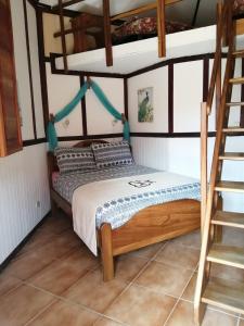 1 Schlafzimmer mit 2 Etagenbetten und einer Leiter in der Unterkunft Cabañas Mountain River Lake Inn in Nueva California