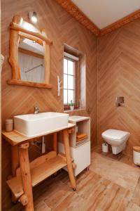 a bathroom with a sink and a toilet at Kotelnica View in Groń