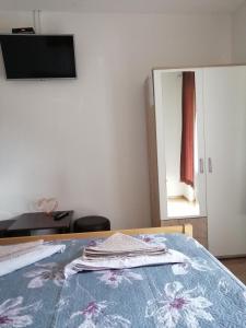 Un televizor și/sau centru de divertisment la Guest House Končar